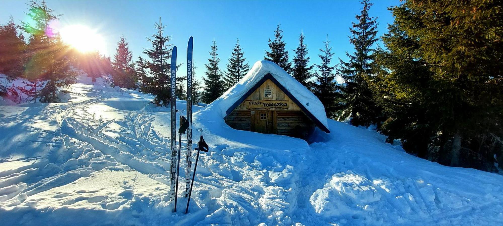Tiny House Lavender Villa Pottornya Kültér fotó